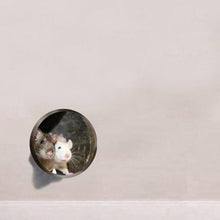 Indlæs billede til gallerivisning Realistiske 3D Musehul vægklistermærker