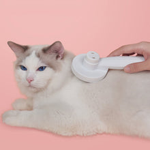 Indlæs billede til gallerivisning Peæsbørster til kæledyr