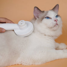 Indlæs billede til gallerivisning Peæsbørster til kæledyr