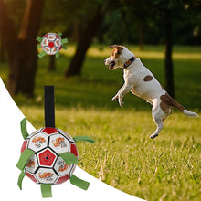 Indlæs billede til gallerivisning Interaktivt hunde fodbold legetøj