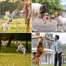 Indlæs billede til gallerivisning Interaktivt hunde fodbold legetøj
