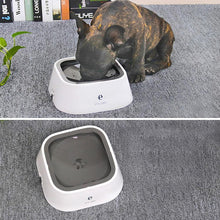 Indlæs billede til gallerivisning Spildfri kæledyrs madskål