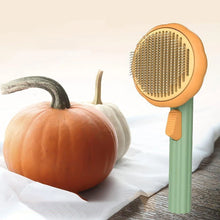 Indlæs billede til gallerivisning Græskar Pet Kæmning Børste