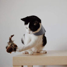 Indlæs billede til gallerivisning Simuleret kvidrende fugl