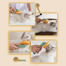 Indlæs billede til gallerivisning Græskar Pet Kæmning Børste