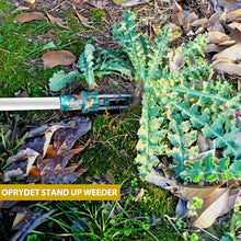 Indlæs billede til gallerivisning Stående ukrudtsrydder