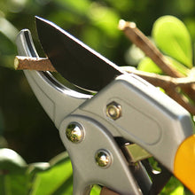 Indlæs billede til gallerivisning Arbejdsbesparende saks til frugtgrene