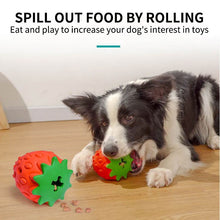 Indlæs billede til gallerivisning Jordbær Tyggelegetøj til Hund