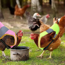 Indlæs billede til gallerivisning Justerbar reflekterende selevest til høns