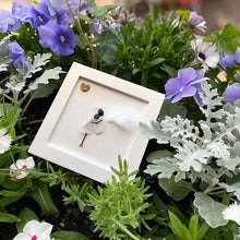 Indlæs billede til gallerivisning 🩶Kunst af havglas Sympatigave