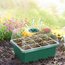 Indlæs billede til gallerivisning Højlågs frøplantekasse med 12 åbninger