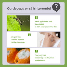 Indlæs billede til gallerivisning Myggeafvisende plastre