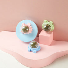 Indlæs billede til gallerivisning Kattelegetøj til væggen i katteurt