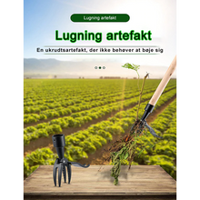 Indlæs billede til gallerivisning Ukrudtstrækrværktøj