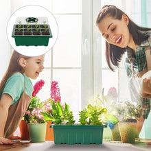 Indlæs billede til gallerivisning Højlågs frøplantekasse med 12 åbninger