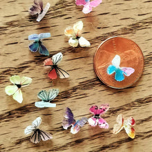 Indlæs billede til gallerivisning 🦋Mikro miniature sommerfugle