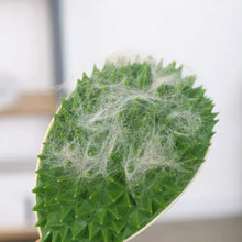 Indlæs billede til gallerivisning Durianformet kradselegetøj til pelsfjernelse