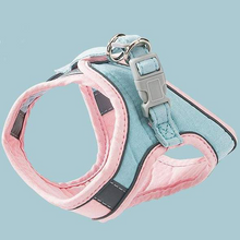 Indlæs billede til gallerivisning Cat Vest Harness and Leash Set