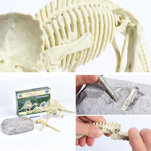 Indlæs billede til gallerivisning DIY arkæologisk minedrift Dinosaur Fossil Legetøj