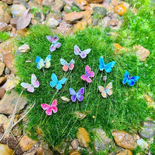 Indlæs billede til gallerivisning 🦋Mikro miniature sommerfugle