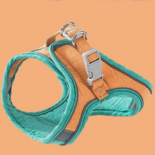 Indlæs billede til gallerivisning Cat Vest Harness and Leash Set