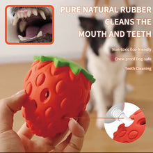 Indlæs billede til gallerivisning Jordbær Tyggelegetøj til Hund