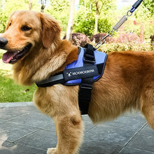 Indlæs billede til gallerivisning Reflekterende alt-i-en hivefri hundesele