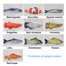 IndlĂŠs billede til gallerivisning katteurt fisk legetĂžj