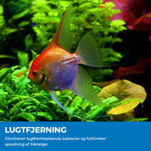 Indlæs billede til gallerivisning Akvarie rensende pulver