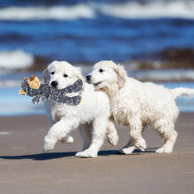 Indlæs billede til gallerivisning Uopslidelig robust bamse