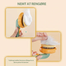 Indlæs billede til gallerivisning Græskar Pet Kæmning Børste