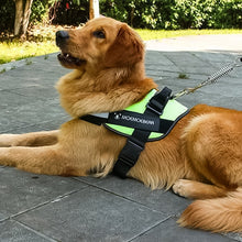 Indlæs billede til gallerivisning Reflekterende alt-i-en hivefri hundesele