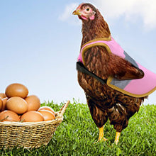 Indlæs billede til gallerivisning Justerbar reflekterende selevest til høns