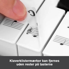 Indlæs billede til gallerivisning Klaver Key Note Stickers