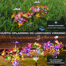 Indlæs billede til gallerivisning Solcelledrevne sommerfuglelamper
