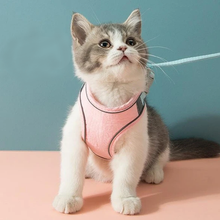 Indlæs billede til gallerivisning Cat Vest Harness and Leash Set