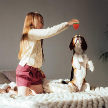 Indlæs billede til gallerivisning Jordbær Tyggelegetøj til Hund