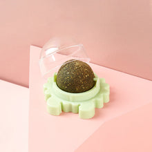 Indlæs billede til gallerivisning Kattelegetøj til væggen i katteurt