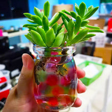 Indlæs billede til gallerivisning Krystal vandperler