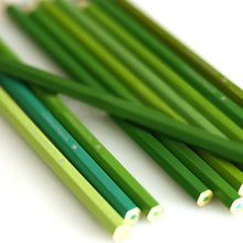 Indlæs billede til gallerivisning Praktisk farveblyantssæt