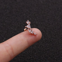 Indlæs billede til gallerivisning Rustfrit stål zirkon øreknogle ørestikker