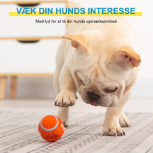 Indlæs billede til gallerivisning Udødeligt tyggelegetøj