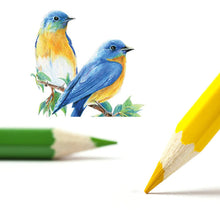 Indlæs billede til gallerivisning Praktisk farveblyantssæt