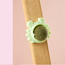 Indlæs billede til gallerivisning Kattelegetøj til væggen i katteurt