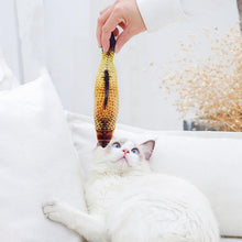 IndlĂŠs billede til gallerivisning katteurt fisk legetĂžj