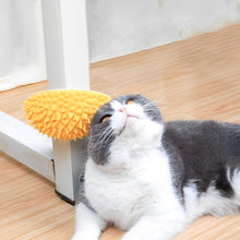 Indlæs billede til gallerivisning Durianformet kradselegetøj til pelsfjernelse
