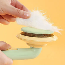 Indlæs billede til gallerivisning Kattehårfjerningsbørste nålekam