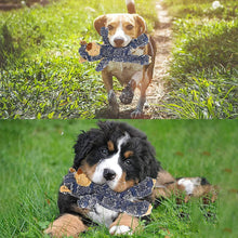 Indlæs billede til gallerivisning Uopslidelig robust bamse