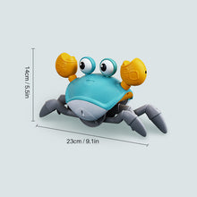 Indlæs billede til gallerivisning Kravlende krabbelegetøj til børn