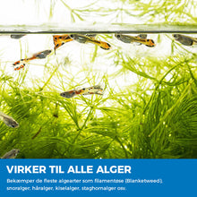 Indlæs billede til gallerivisning Akvarie rensende pulver